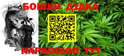 сатива Кандалакша