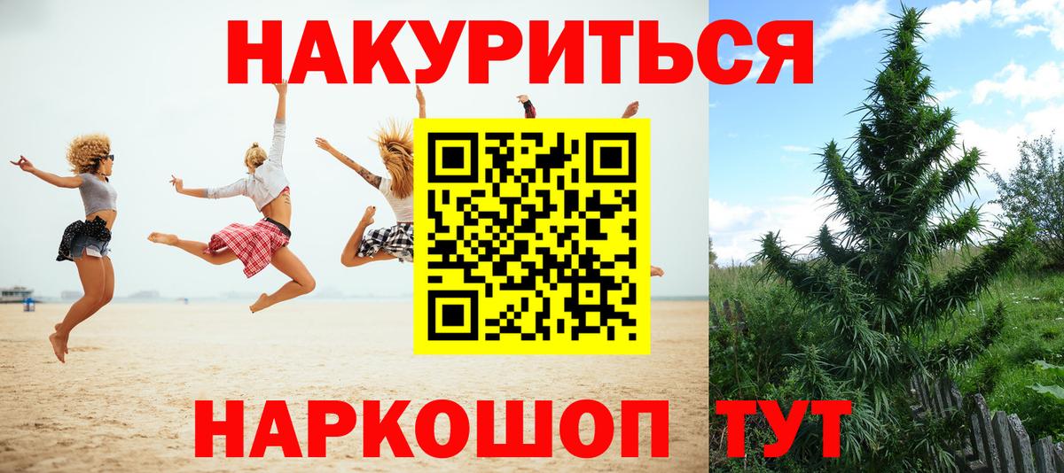 Шишки марихуана план  Канабис MAZAR  Лесной  Вход с VPN  Каннабис планчик 